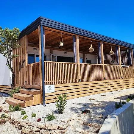 Hollers Homes Haus Mary